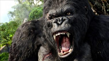 Laukia nauja Godzilos ir King Kongo akistata (4)