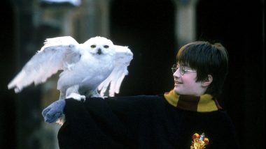 Danielis Radcliffe‘as neatmeta galimybės grįžti į Hario Poterio pasaulį (1)