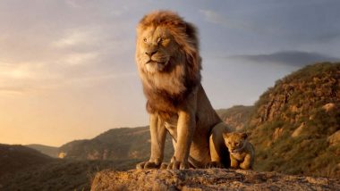 Liūtas karalius (2)