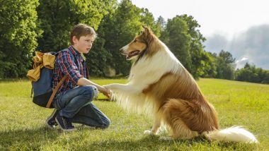 Garsiausias pasaulio šuo: 12 faktų, kurių nežinojote apie Lesę (1)